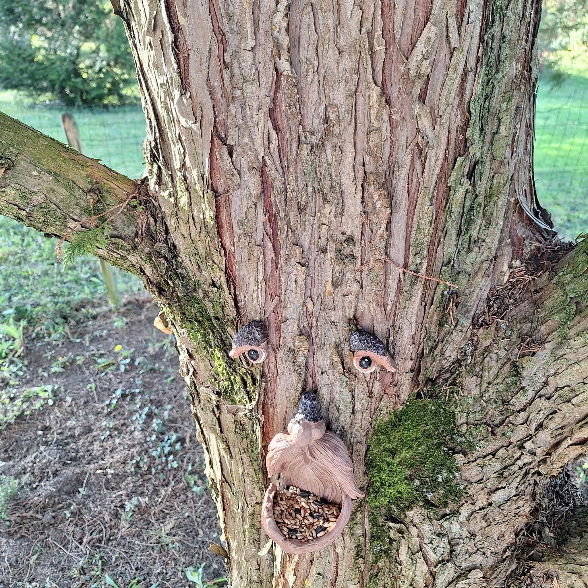 Vogelvoeder voor betoverde bomen – photo 4